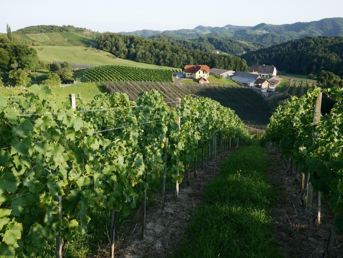 Holiday Home Winzerhaus Eva Spicnik Luaran gambar