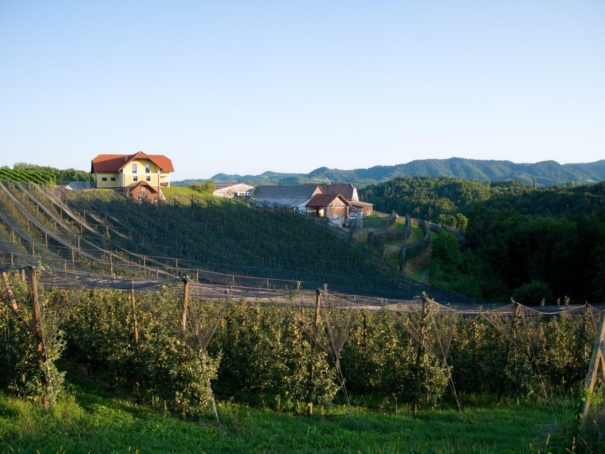 Holiday Home Winzerhaus Eva Spicnik Luaran gambar