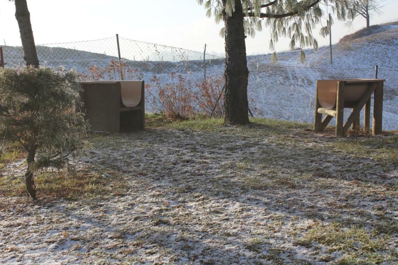 Holiday Home Winzerhaus Eva Spicnik Luaran gambar